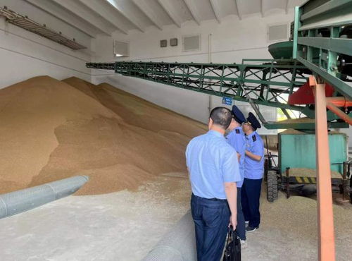 違規(guī)收購(gòu)糧食被罰10萬(wàn)元，南京公布一批典型案例加強(qiáng)糧食市場(chǎng)管理